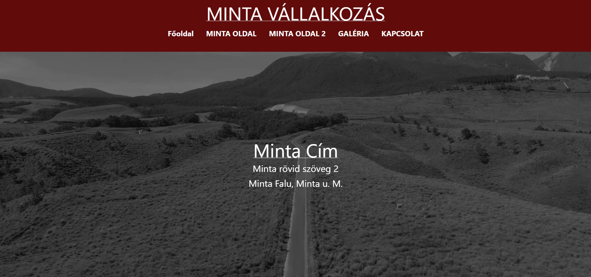 Website development reference – Sample Company portfolio website